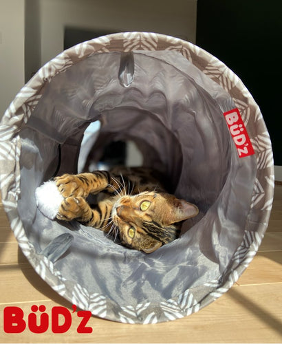 Bud'z - Cat Tunnel