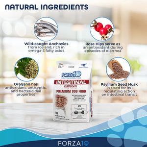 Forza 10 - Intestinal Dog Food