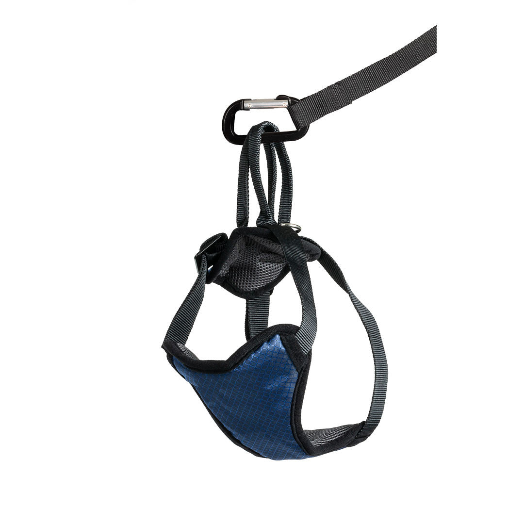 Dog safety harness best sale